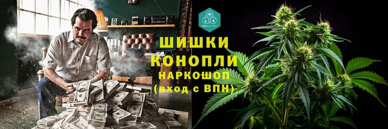 Бошки марихуана планчик  мориарти наркотические препараты  Тверь 